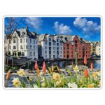 Ålesund bordbrikke - art - Brosundet tulipaner
