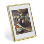 Focus Can-Can Gull 20x25