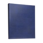 Focus Exclusive Line Ringbinder, blå