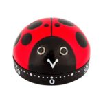 PYLONES - ON TIME - Kjøkkentimer - Ladybird