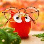 PYLONES -  REPOSE LUNETTES - Brilleholder - Red Owl